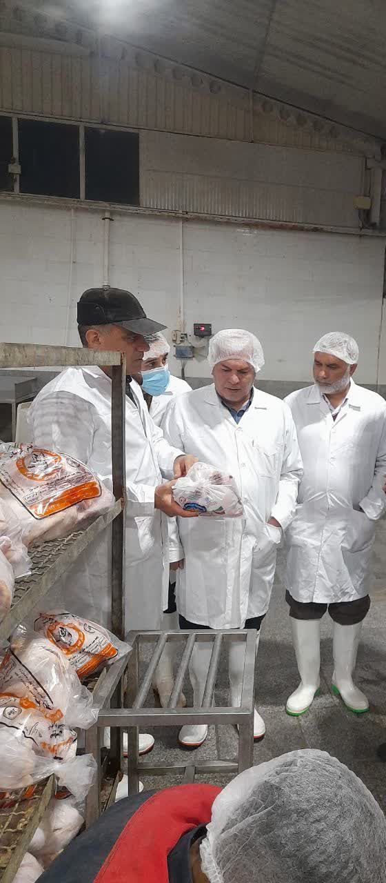 بازدید فرماندار و معاون به همراه رئیس جهاد کشاورزی شهرستان از کشتارگاه صبامرغ در راستای طرح تشدید نظارت دامپزشکی وتامین مرغ شهرستان بازدید فرماندار و معاون به همراه رئیس جهاد کشاورزی شهرستان از کشتارگاه صبامرغ در راستای طرح تشدید نظارت دامپزشکی وتامین مرغ شهرستان
