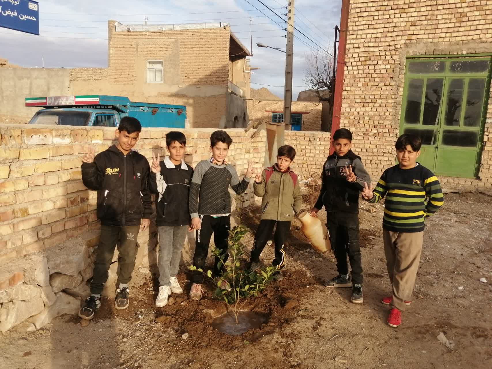 کاشت نهال در روستای فیض آباد شهرستان فیروزه