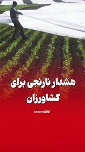 اطلاعیه مهم به باغداران و کشاورزان محترم شهرستان فیروزه