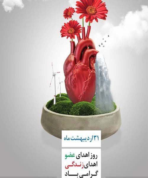 اهدای عضو،  شروعی که با یک پایان رقم می‌خورد…