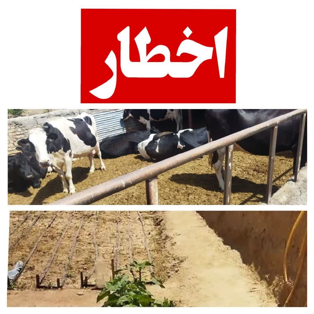 مشترکین محترم و شهروندان فیروزه مشترکین محترم و شهروندان فیروزه