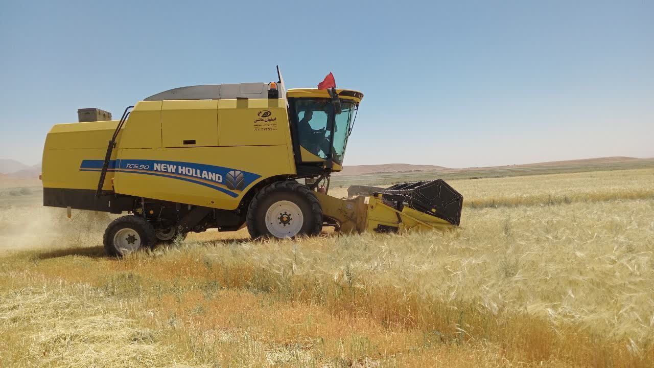 آغاز برداشت گندم و جو در شهرستان فیروزه آغاز برداشت گندم و جو در شهرستان فیروزه