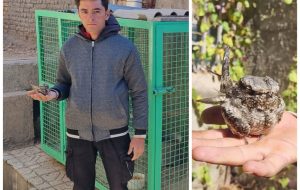 تحویل پرنده مصدوم به اداره محیط زیست تحویل پرنده مصدوم به اداره محیط زیست