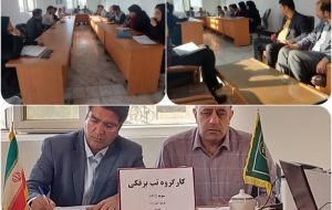 هشدار تب برفکی در شهرستان فیروزه هشدار تب برفکی در شهرستان فیروزه