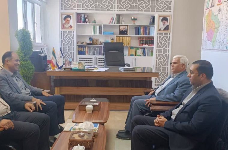 بازدید مسئولان ارشد شرکت توزیع برق خراسان رضوی از فرمانداری فیروزه