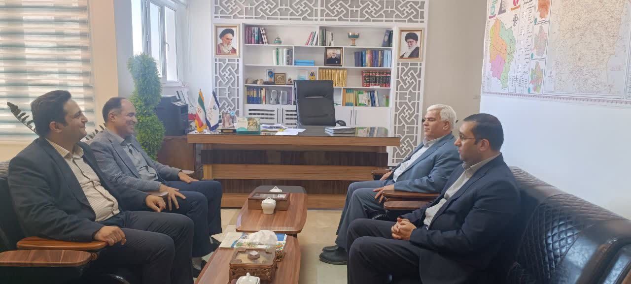 بازدید مسئولان ارشد شرکت توزیع برق خراسان رضوی از فرمانداری فیروزه